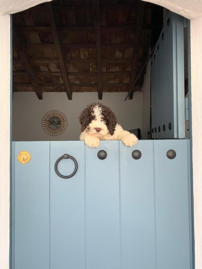 La Puerta Azul Villa Bornos Bagian luar foto