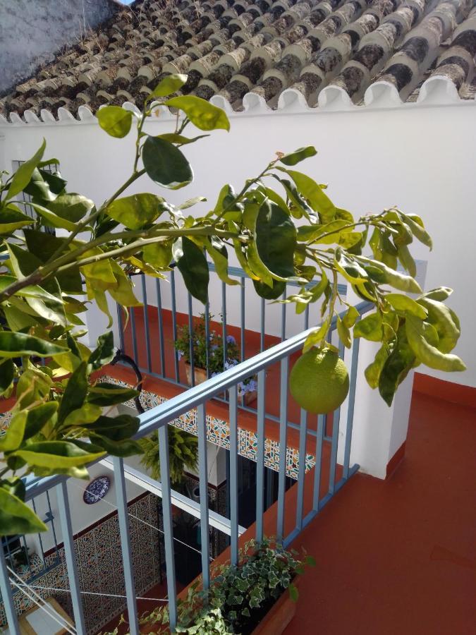 La Puerta Azul Villa Bornos Bagian luar foto