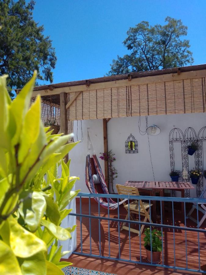 La Puerta Azul Villa Bornos Bagian luar foto